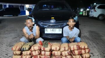 Bravo, Satresnarkoba Polres Gayo Lues Berhasil Ungkap Kasus Peredaran Narkotika Jenis Ganja